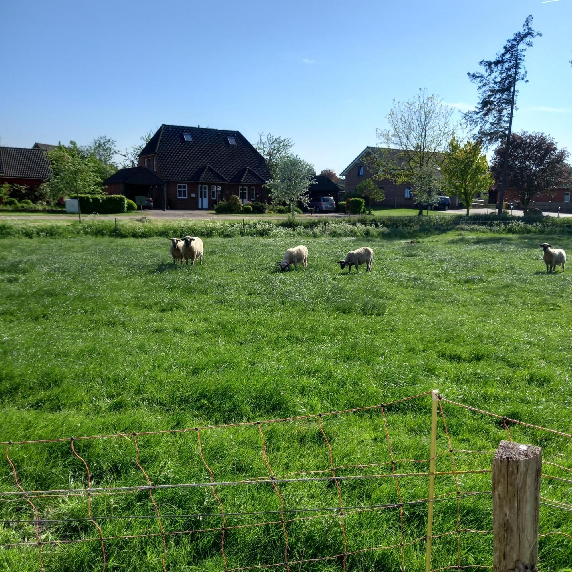 Urlaub Zwischen Nord- Und Ostsee Apartment